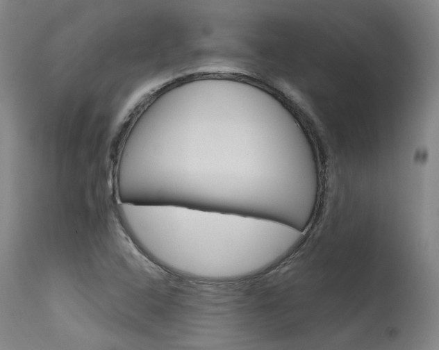 X0000115631408200911101108