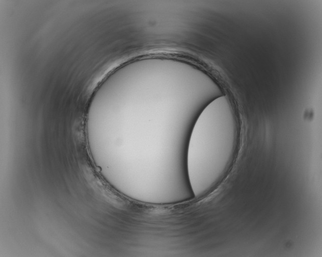 X0000115631409200911101108