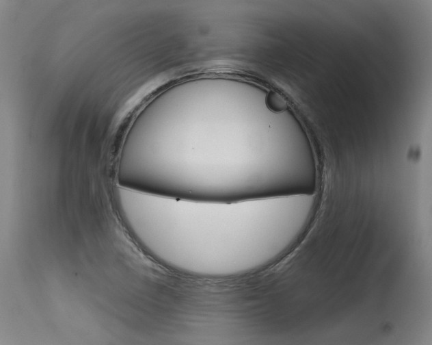 X0000115631410200911101108