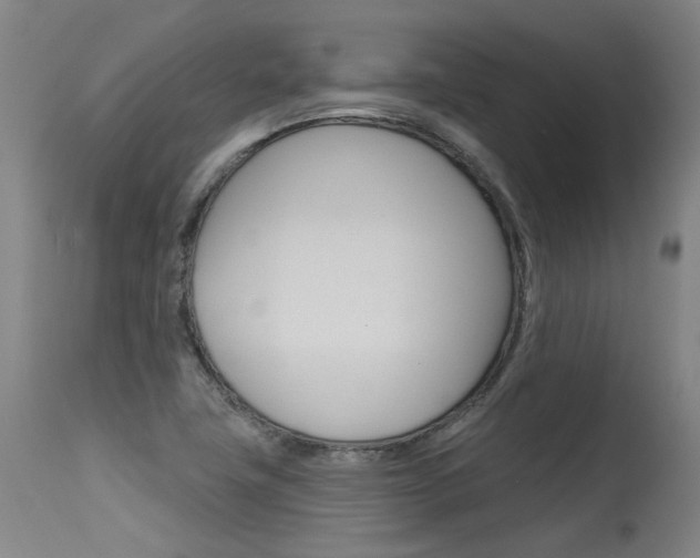 X0000115631411200911101108