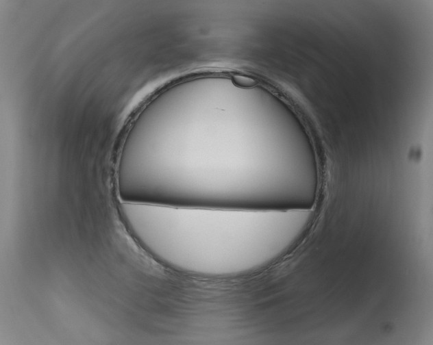 X0000115631412200911101108
