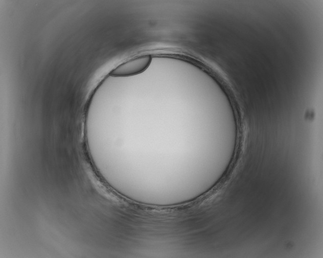 X0000115631413200911101108