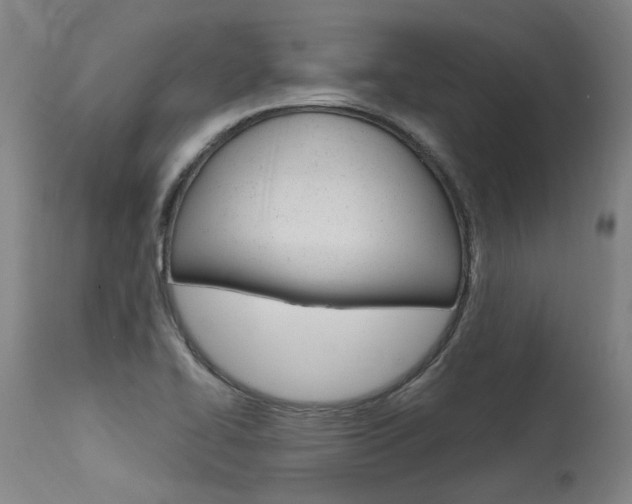 X0000115631414200911101108