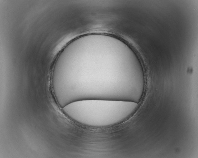 X0000115631415200911101109