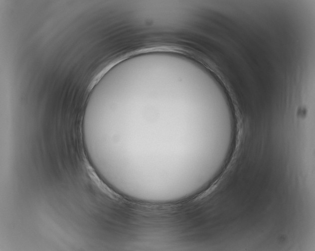 X0000115631417200911101109