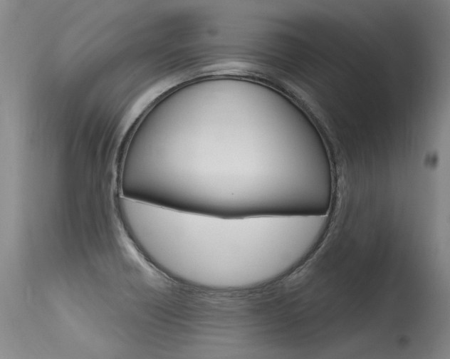 X0000115631418200911101109