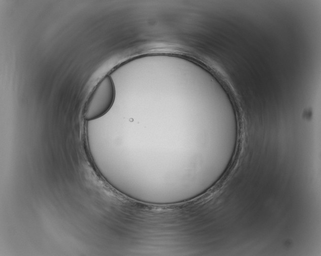 X0000115631419200911101109