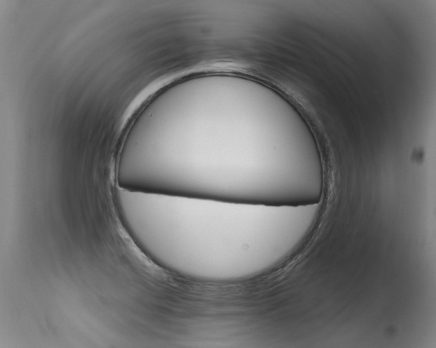 X0000115631420200911101109