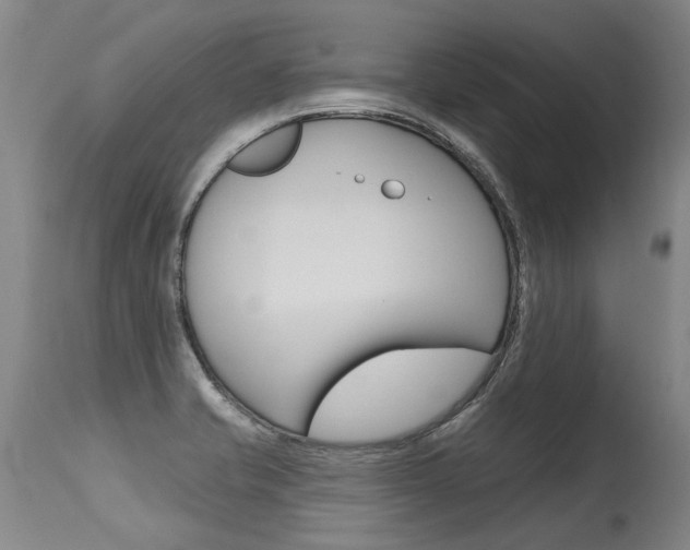 X0000115631421200911101109