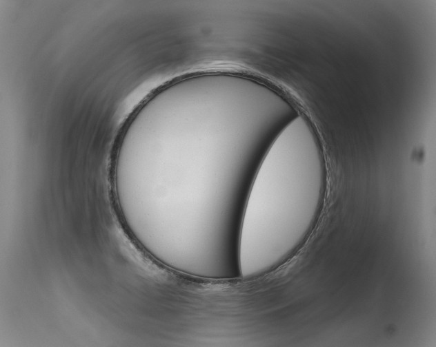 X0000115631422200911101109