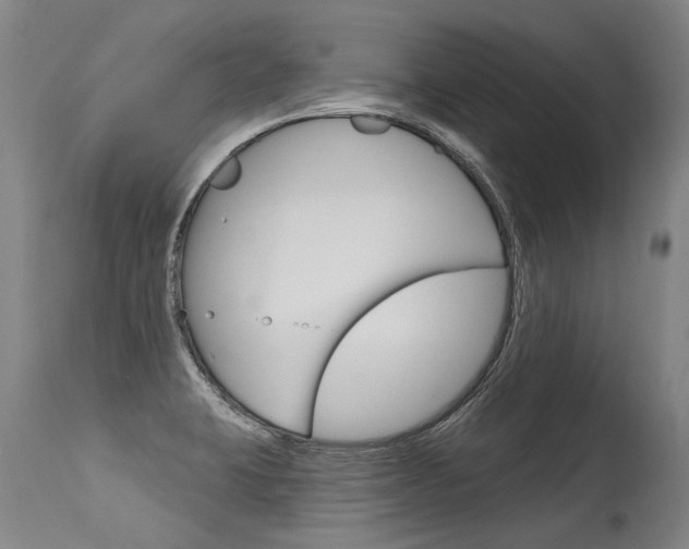X0000115631423200911101109