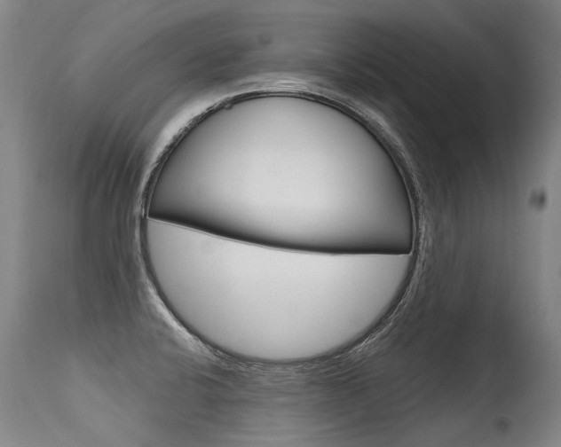 X0000115631424200911101109