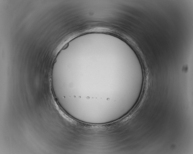 X0000115631425200911101109