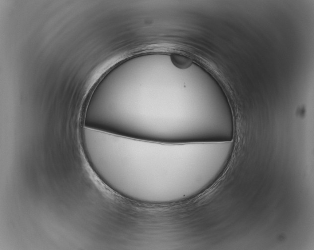 X0000115631426200911101109