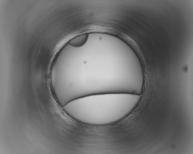 X0000115631427200911101109