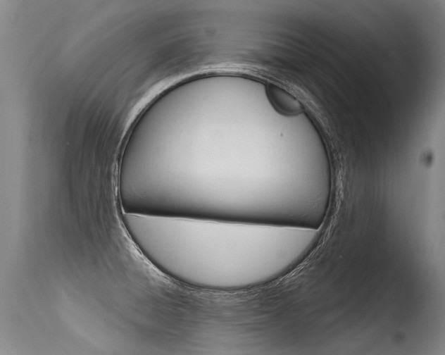 X0000115631428200911101109