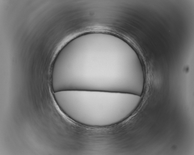 X0000115631429200911101109