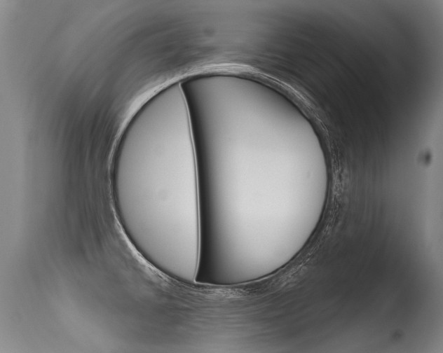 X0000115631430200911101109