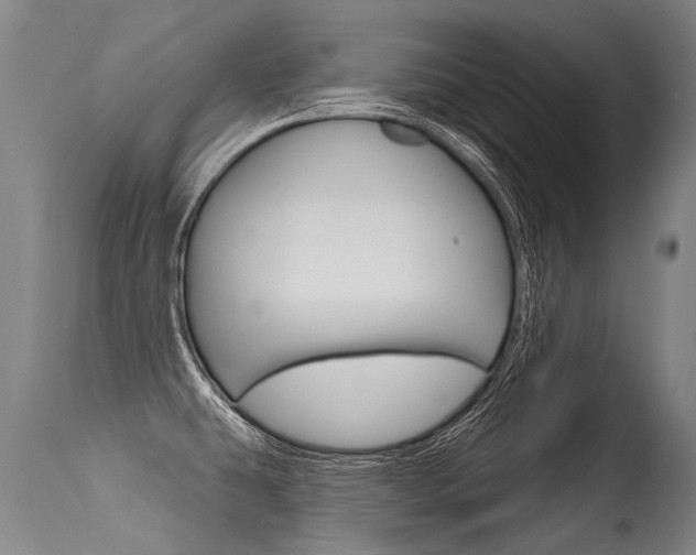 X0000115631431200911101109