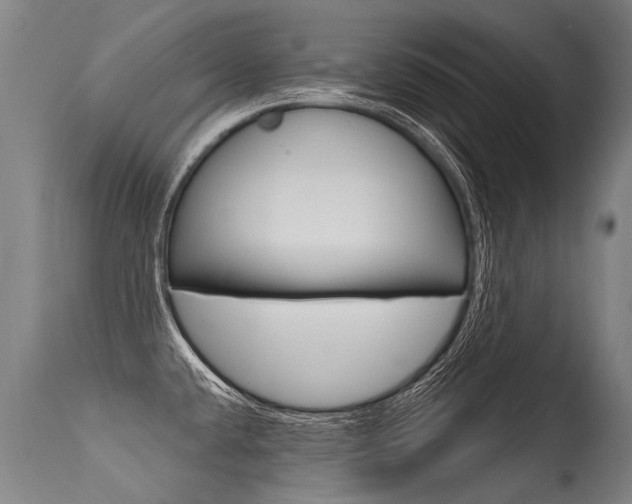 X0000115631432200911101109