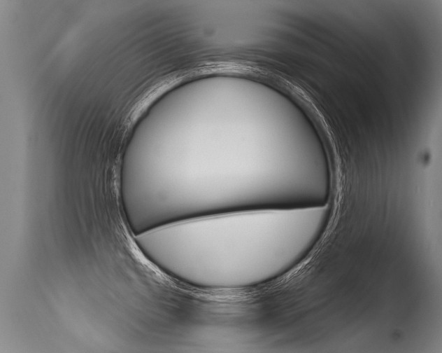 X0000115631433200911101109