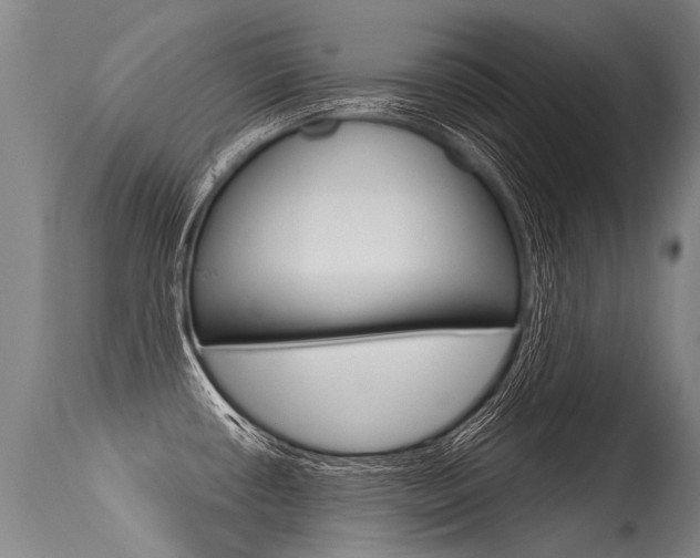 X0000115631434200911101109