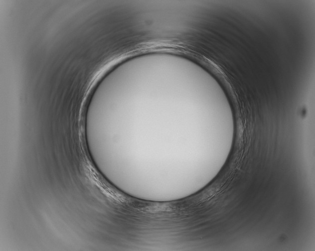 X0000115631435200911101109