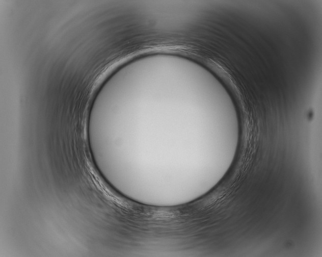 X0000115631436200911101109