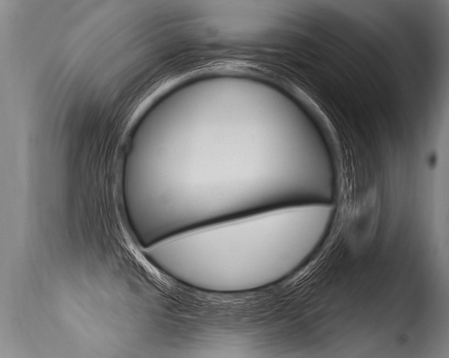 X0000115631437200911101109