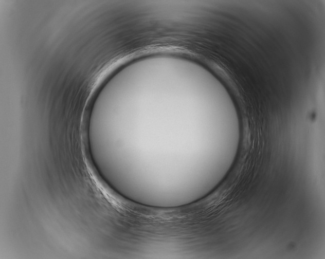 X0000115631438200911101109