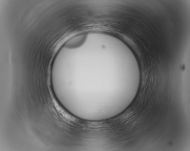 X0000115631439200911101109