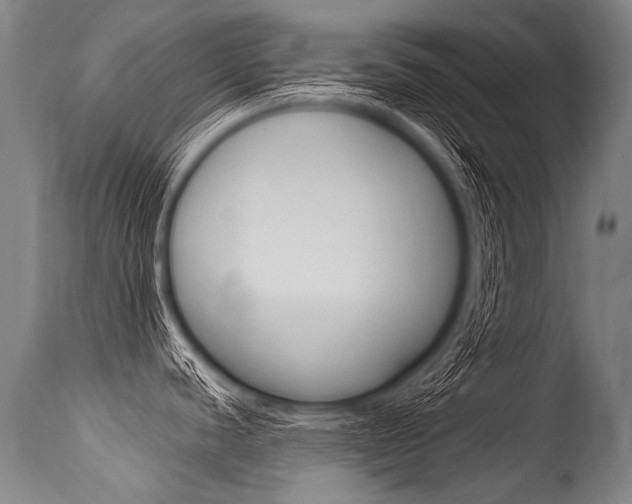 X0000115631440200911101109