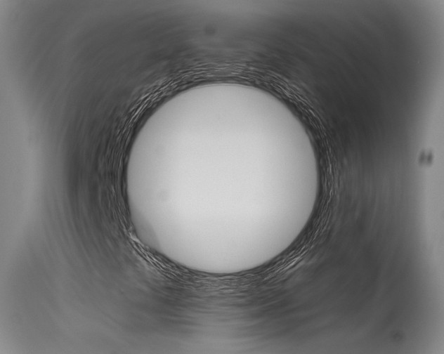 X0000115631441200911101108