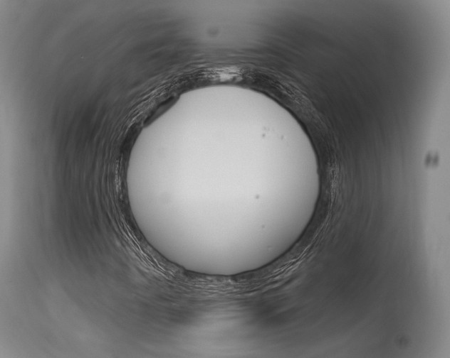 X0000115631442200911101108