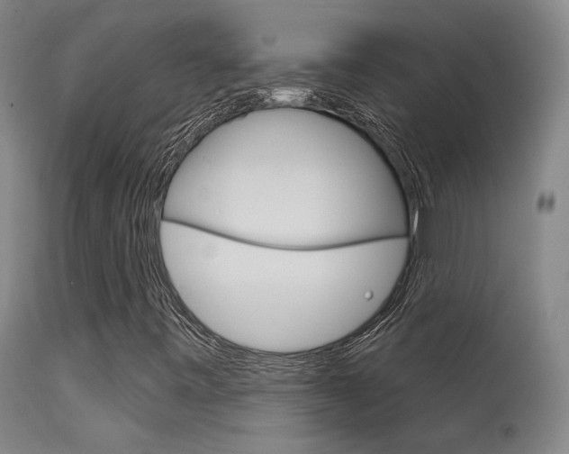 X0000115631443200911101108
