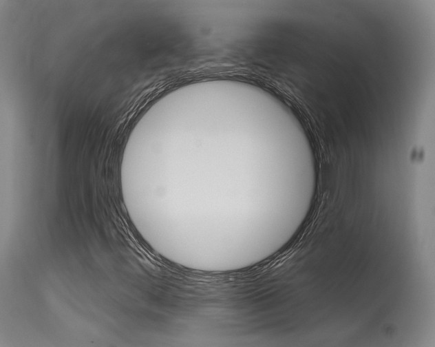 X0000115631444200911101108