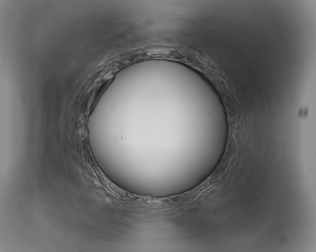 X0000115631445200911101108