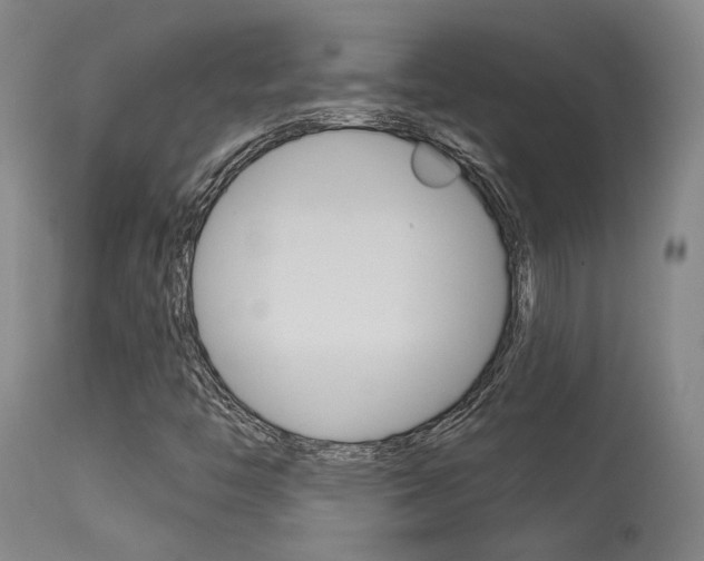 X0000115631446200911101108