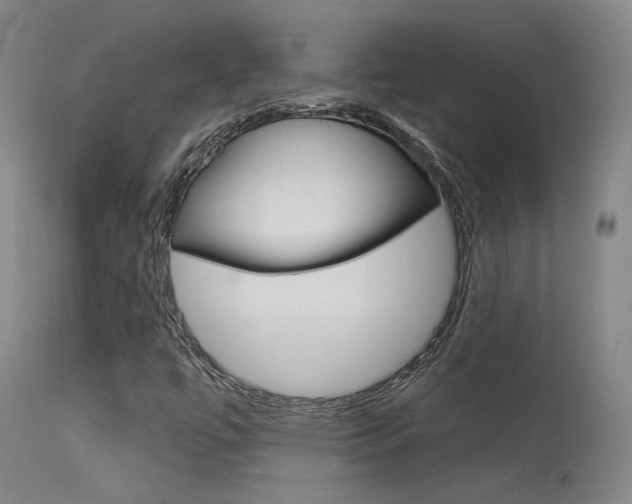 X0000115631447200911101108