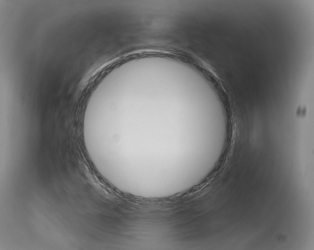 X0000115631448200911101108