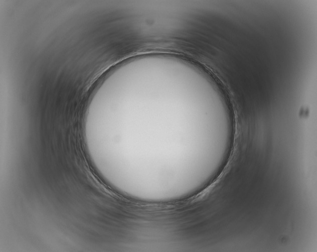 X0000115631449200911101108