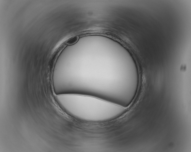 X0000115631450200911101108
