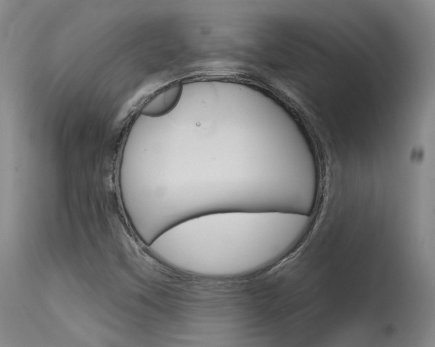 X0000115631451200911101108