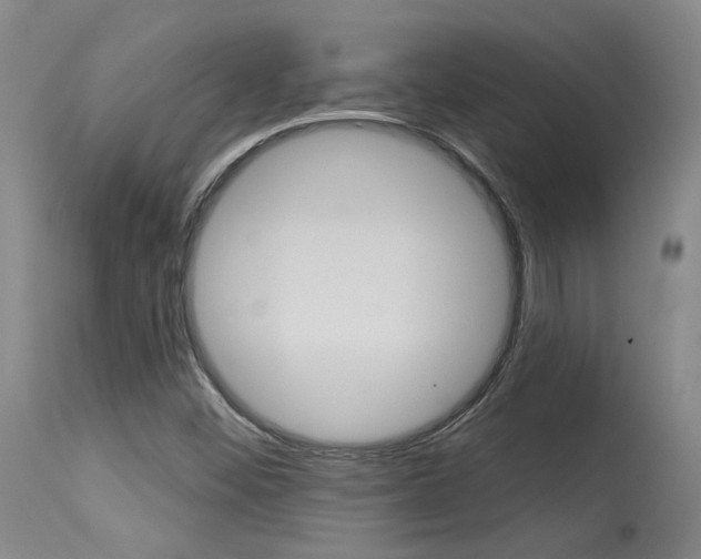X0000115631452200911101108