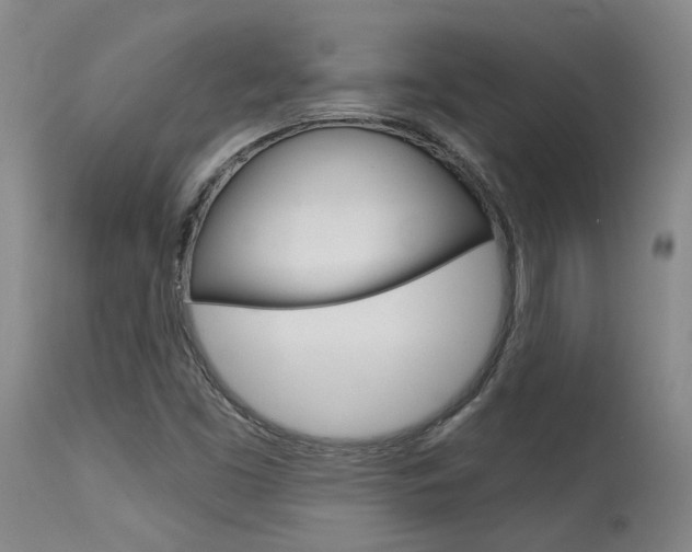 X0000115631453200911101108