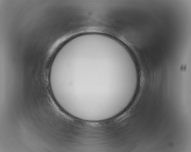 X0000115631454200911101108