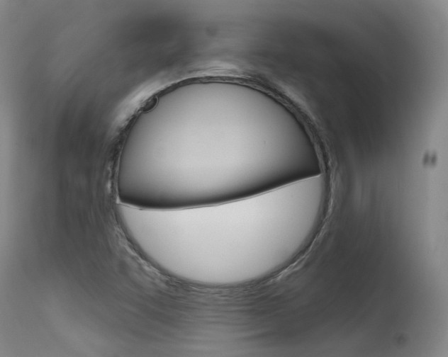 X0000115631455200911101108