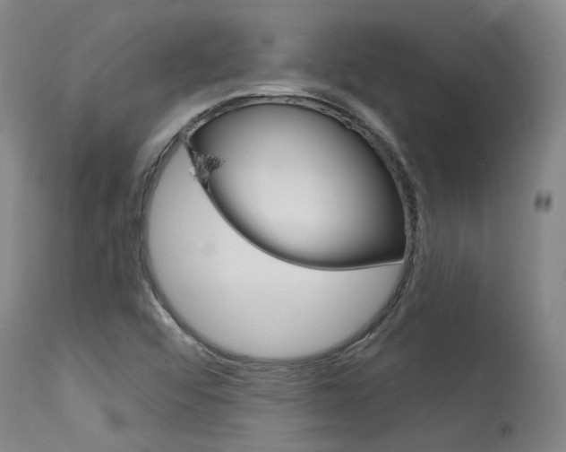 X0000115631456200911101108