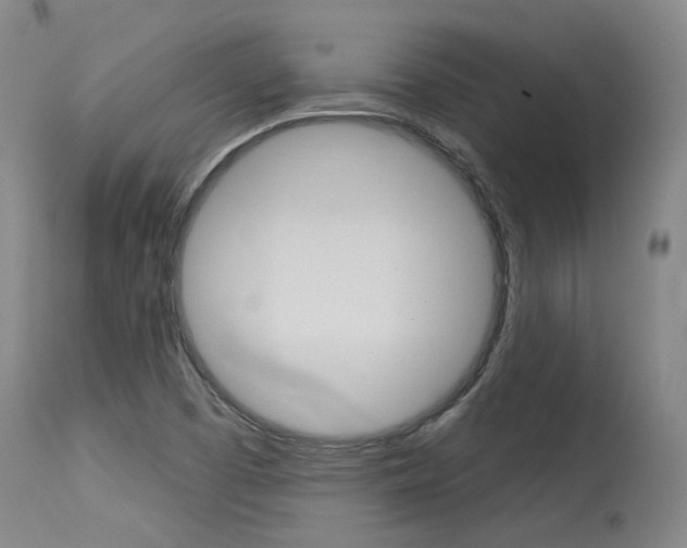 X0000115631457200911101108