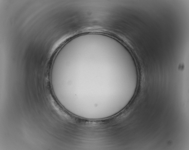 X0000115631458200911101108